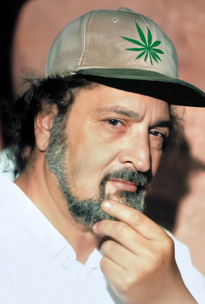 The Emperor Wears No Clothes final edition