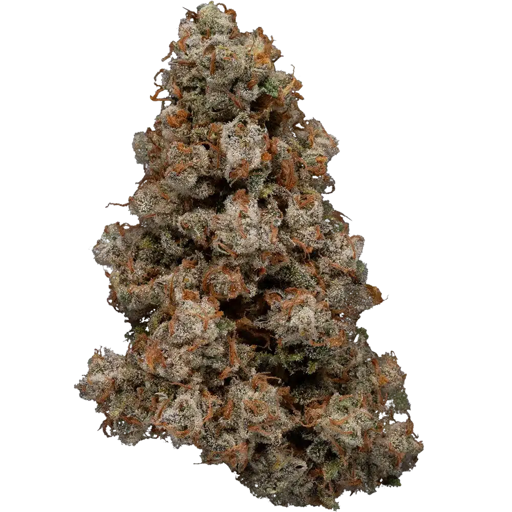 Blue Dream Bud Strain