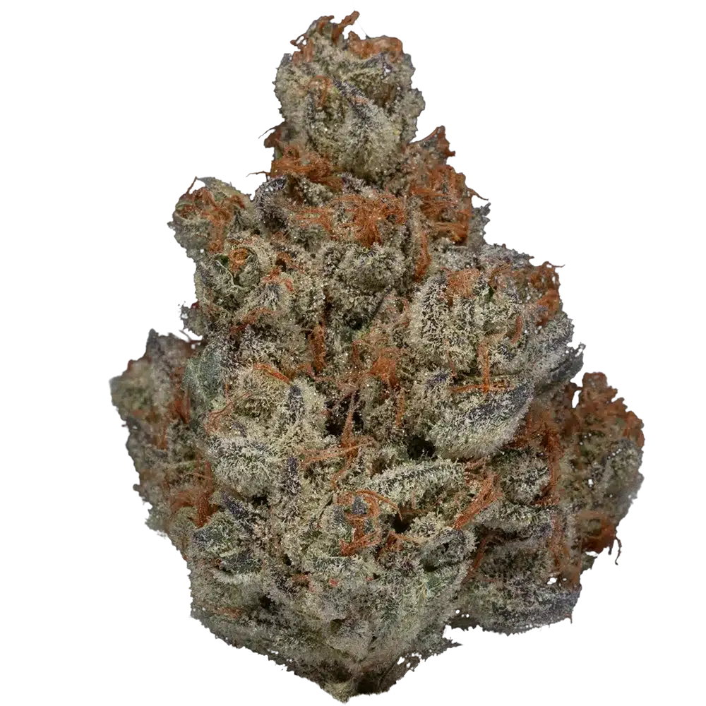 Candied Peaches Bud Strain