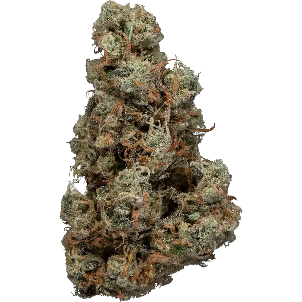 Haze Weaver Bud Strain