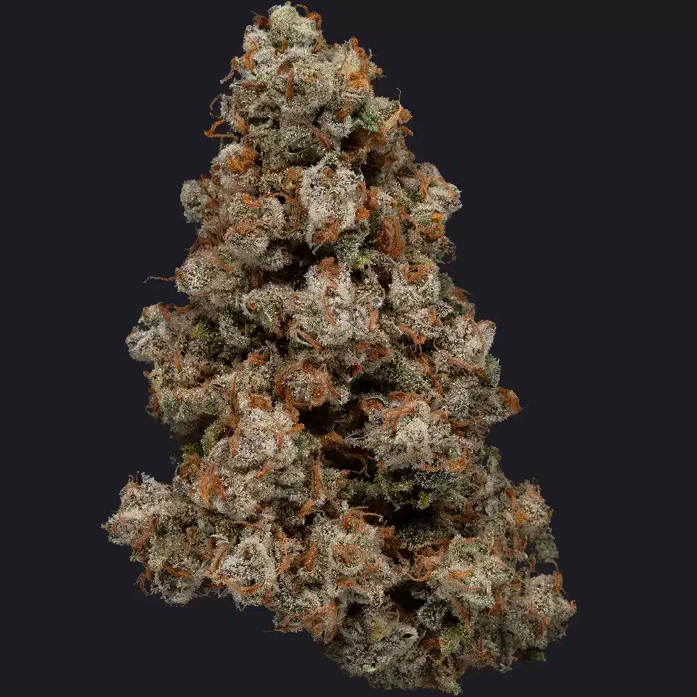 Blue Dream Bud Strain