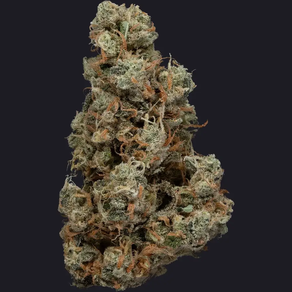 Haze Weaver Bud Strain