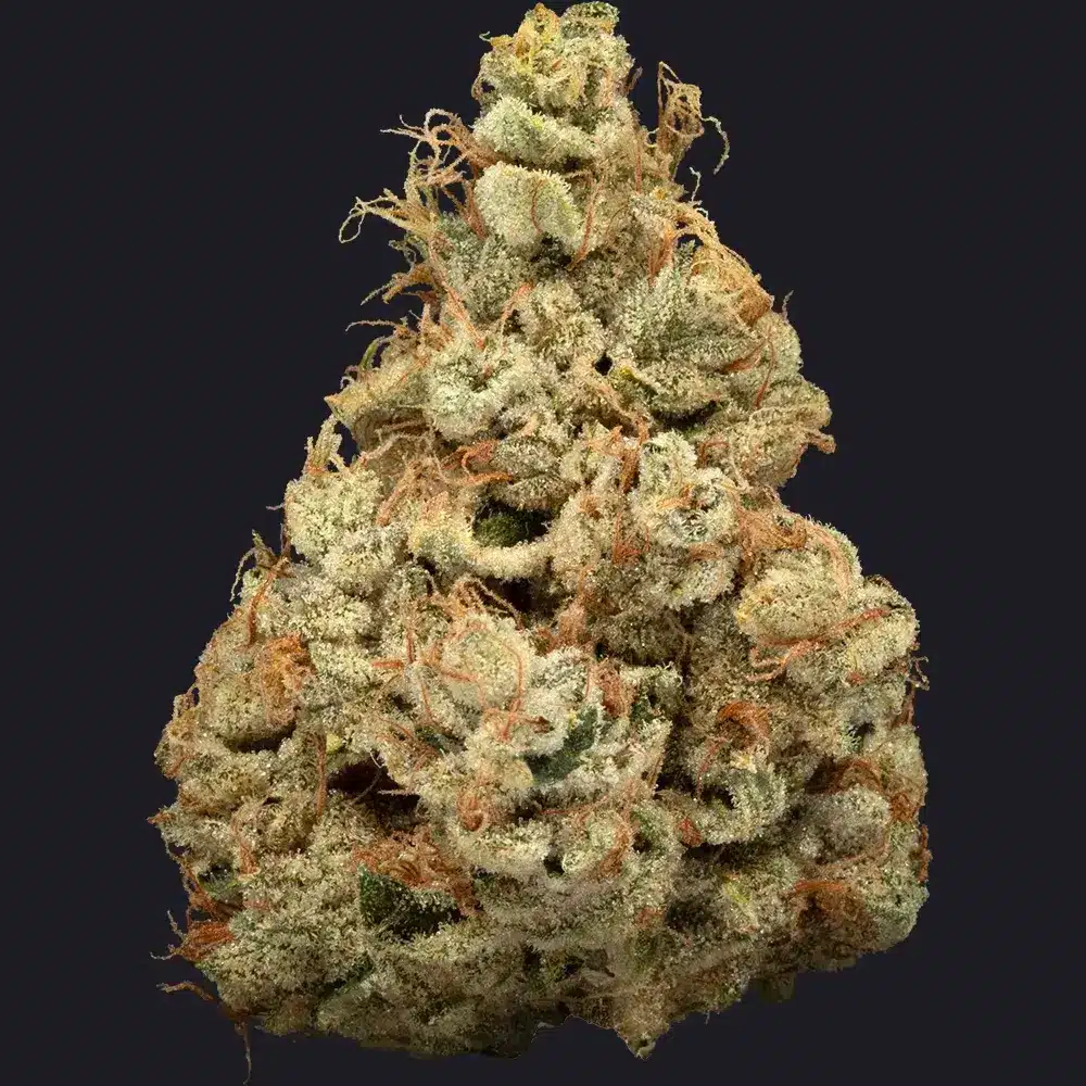 Kingdom Kush Bud Strain