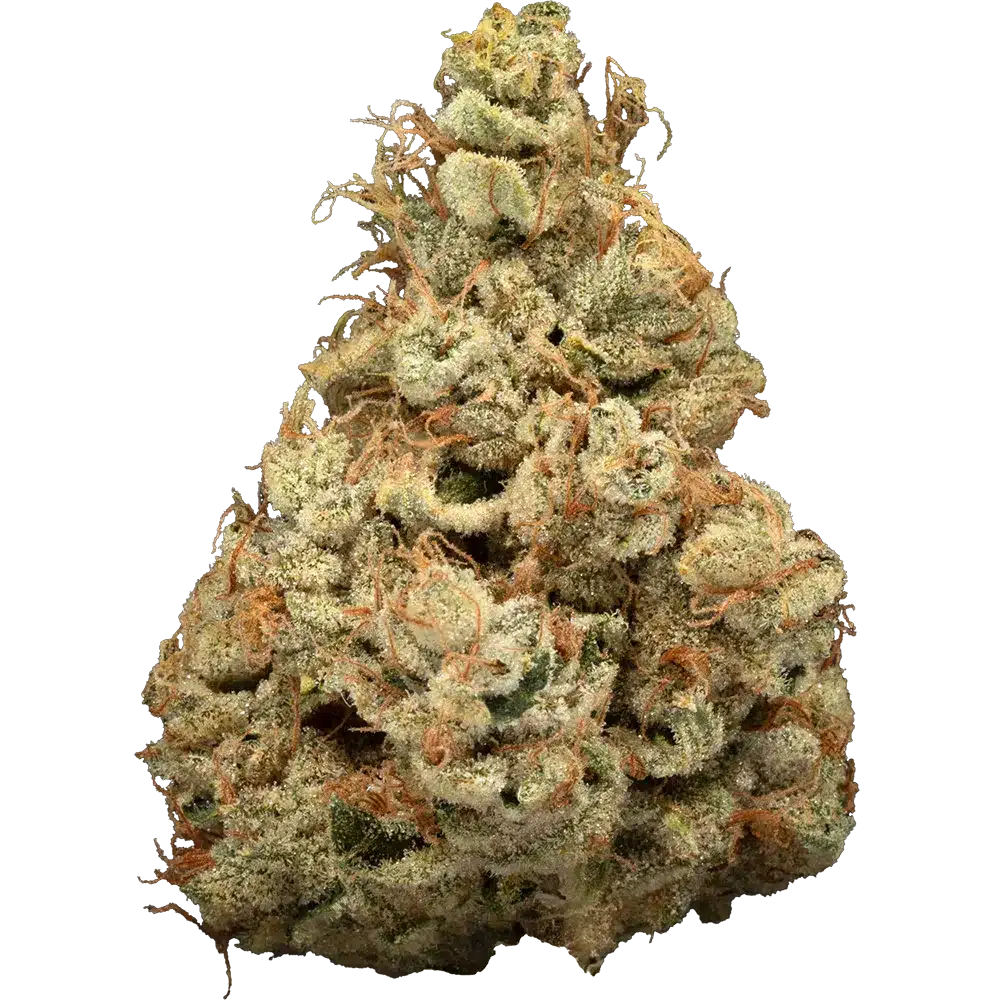 Kingdom Kush Bud Strain
