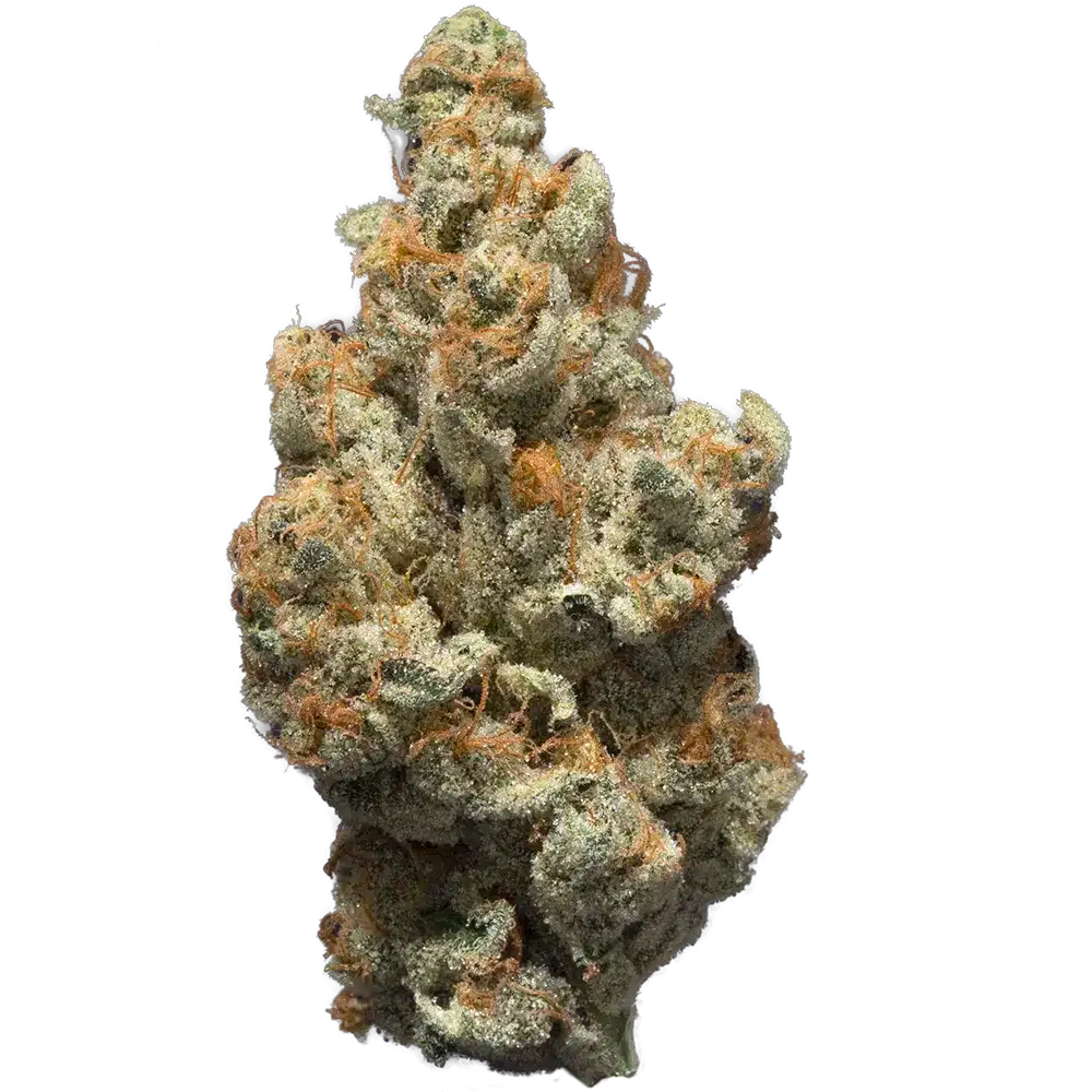 Royal Skunk Bud Strain