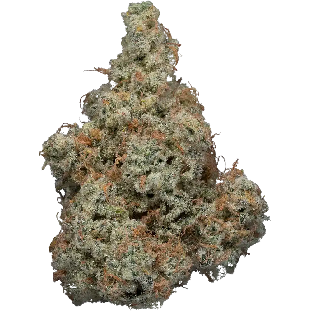 Skyline Sensi Bud Strain