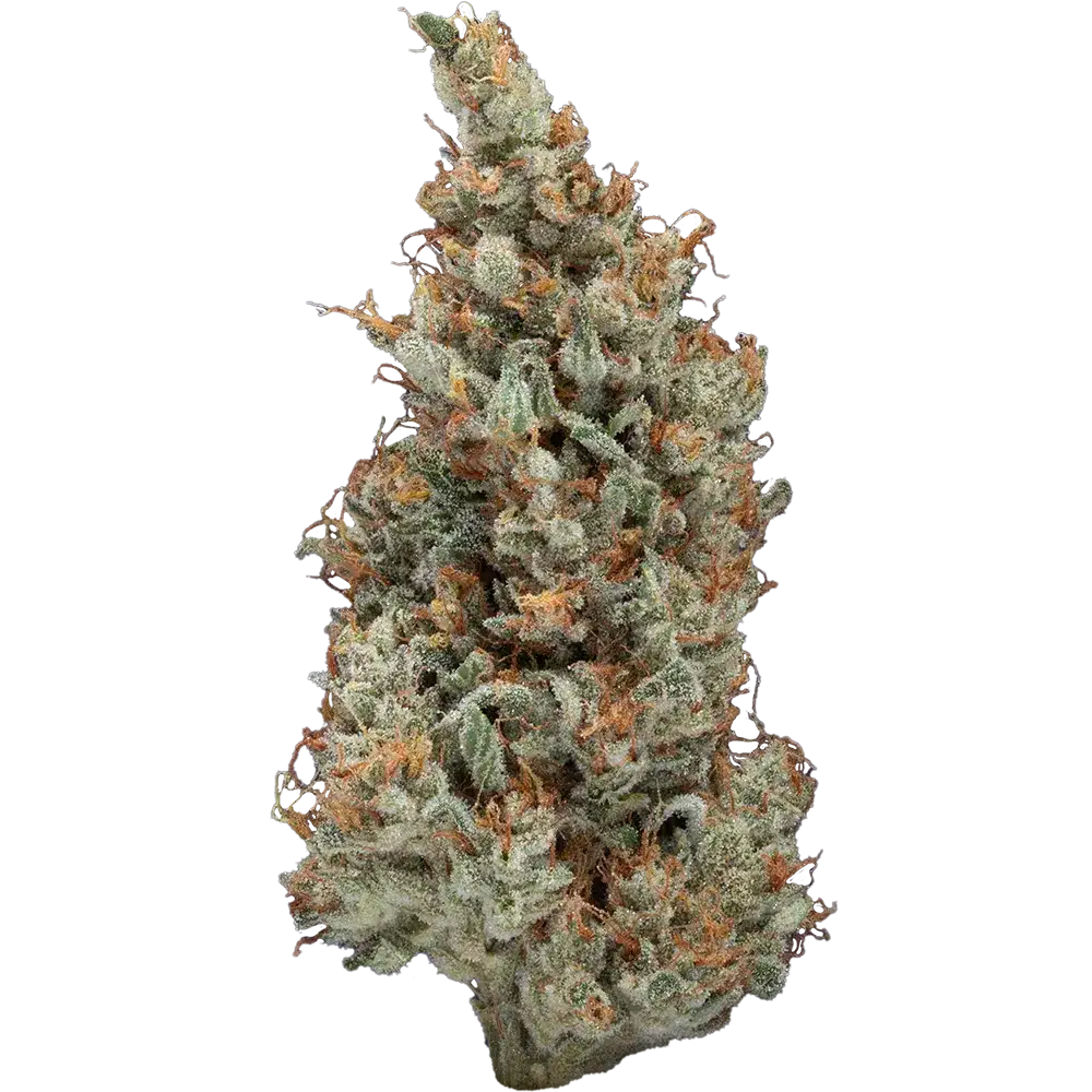 Sweet & Sour Jack Bud Strain