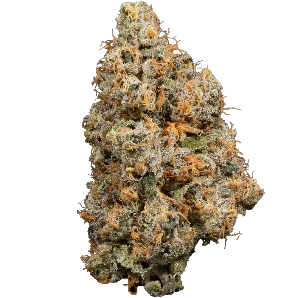 Third Eye Kind Bud Strain